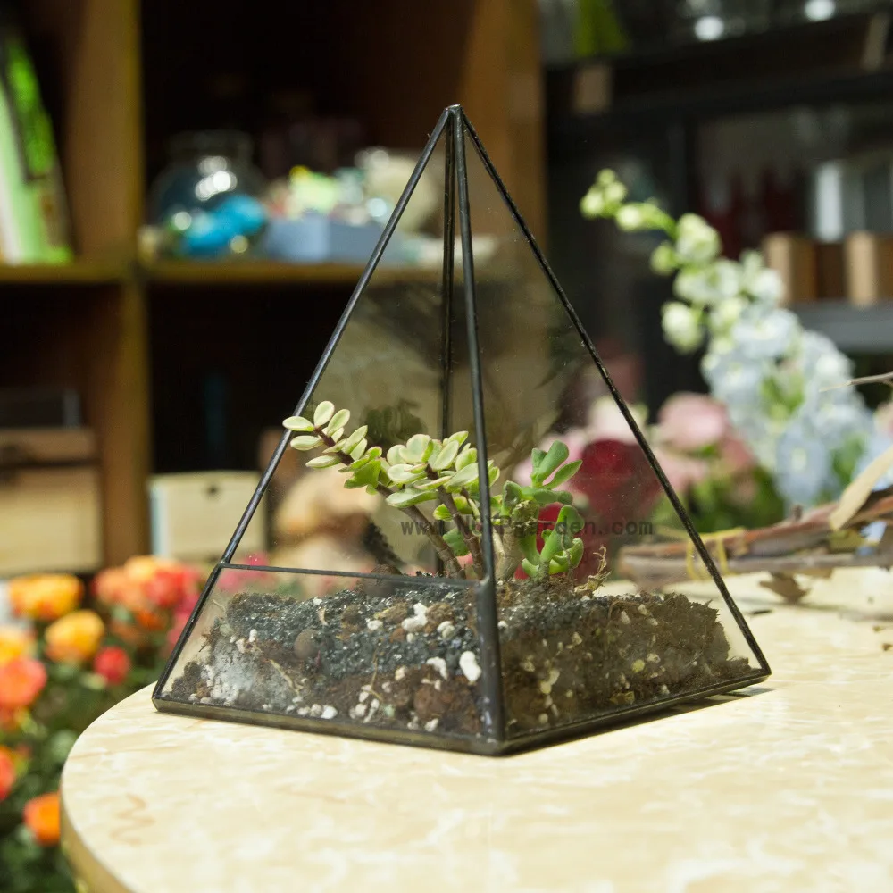 

Modern Tabletop Geometric Glass Terrarium Window Box Sill Succulent Flowerpot Pyramid Plants Container Planter Bonsai Flower Pot