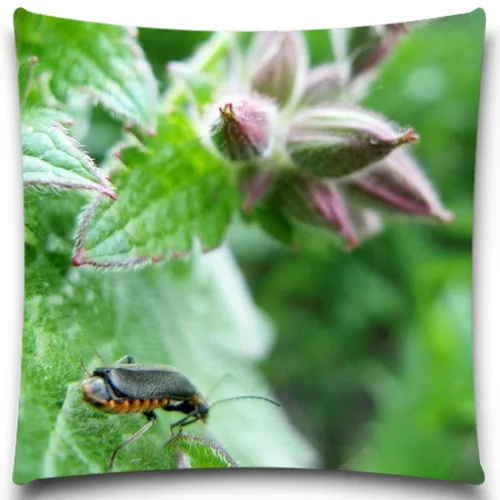 Декоративный чехол с изображением животных черного муравья пчелы |