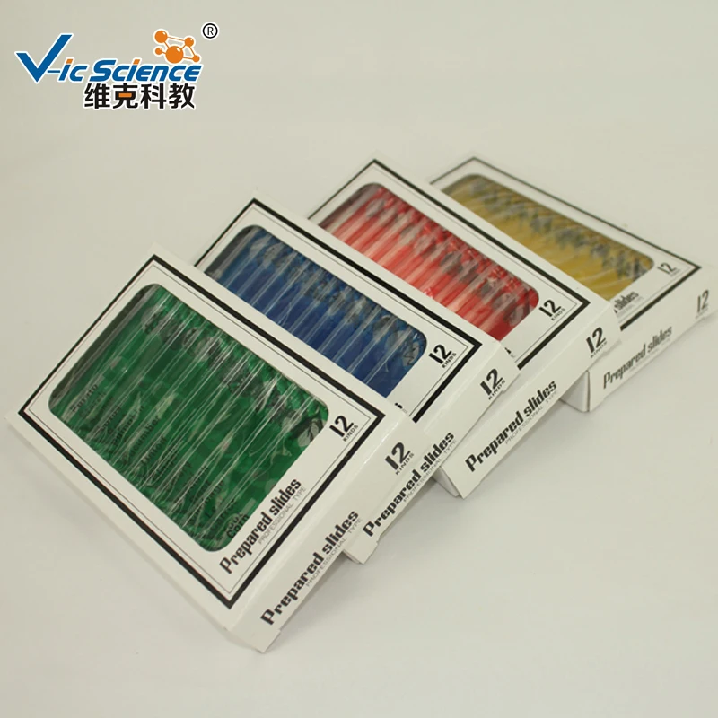 

48 PCS Children Plastic prepared slides set Insect nanimal plant flower vegetable specimen plastic