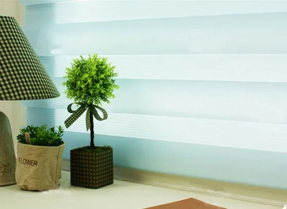 Популярные жалюзи Зебра/двухслойные жалюзи/Готовые занавески/занавески