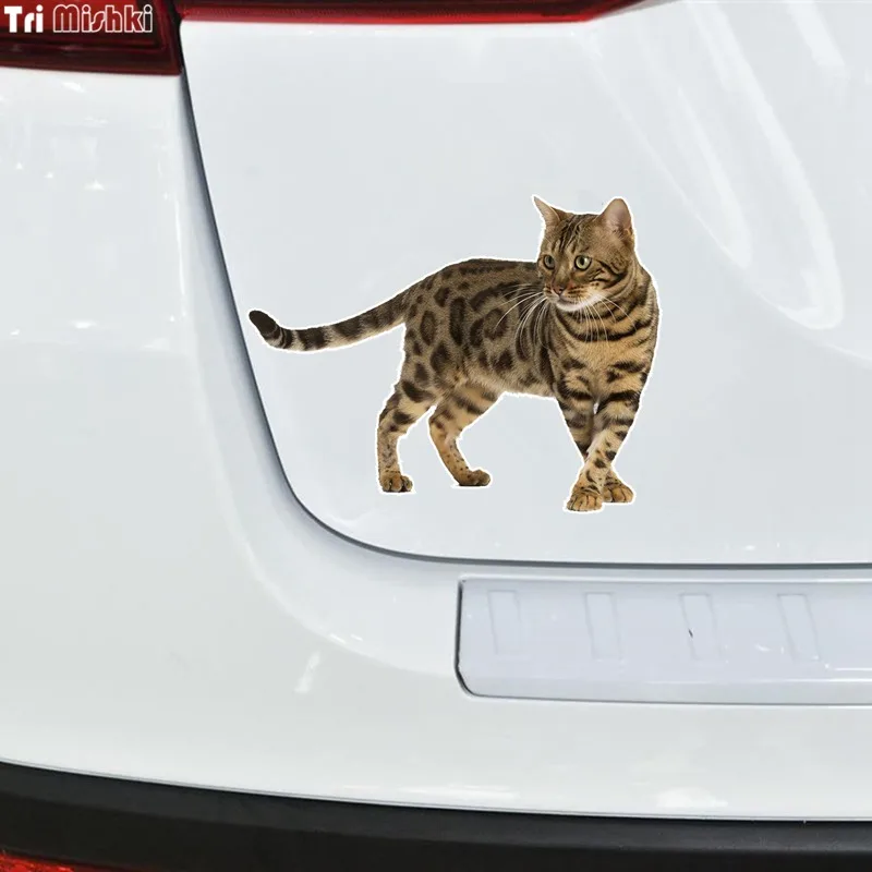 Tri mishki WCS629 11x21 см Бенгальский Кот Сибирский Кот забавные наклейки на авто автомобильные отличительные знаки