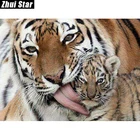 Новый полный квадратный алмаз 5D DIY алмазная живопись 