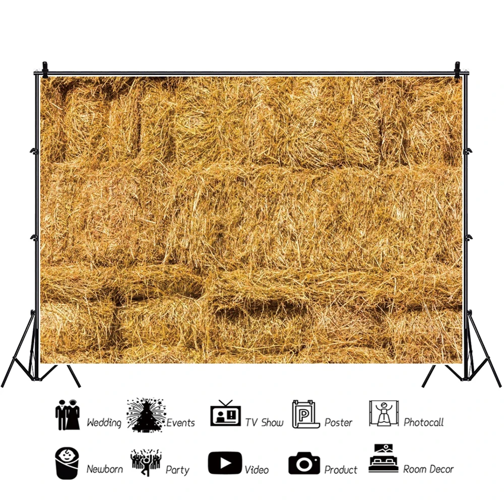 Yeele ферма стог стены сельская трава корма пейзаж портрет ребенок фотографии фоны