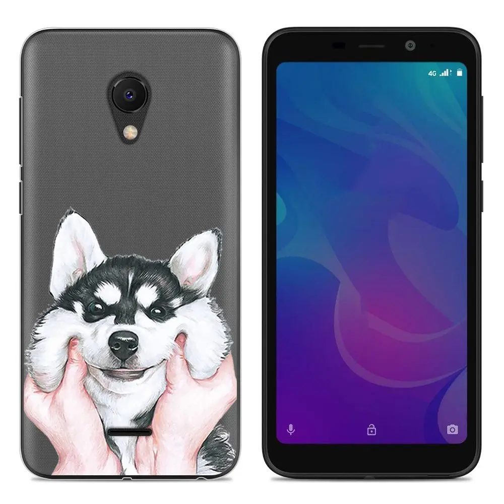 13 Мягкий чехол для телефона с красочными узорами для Meizu C9/M9C, модный дизайн, художественный Рисунок, ТПУ силиконовый чехол - Цвет: 13