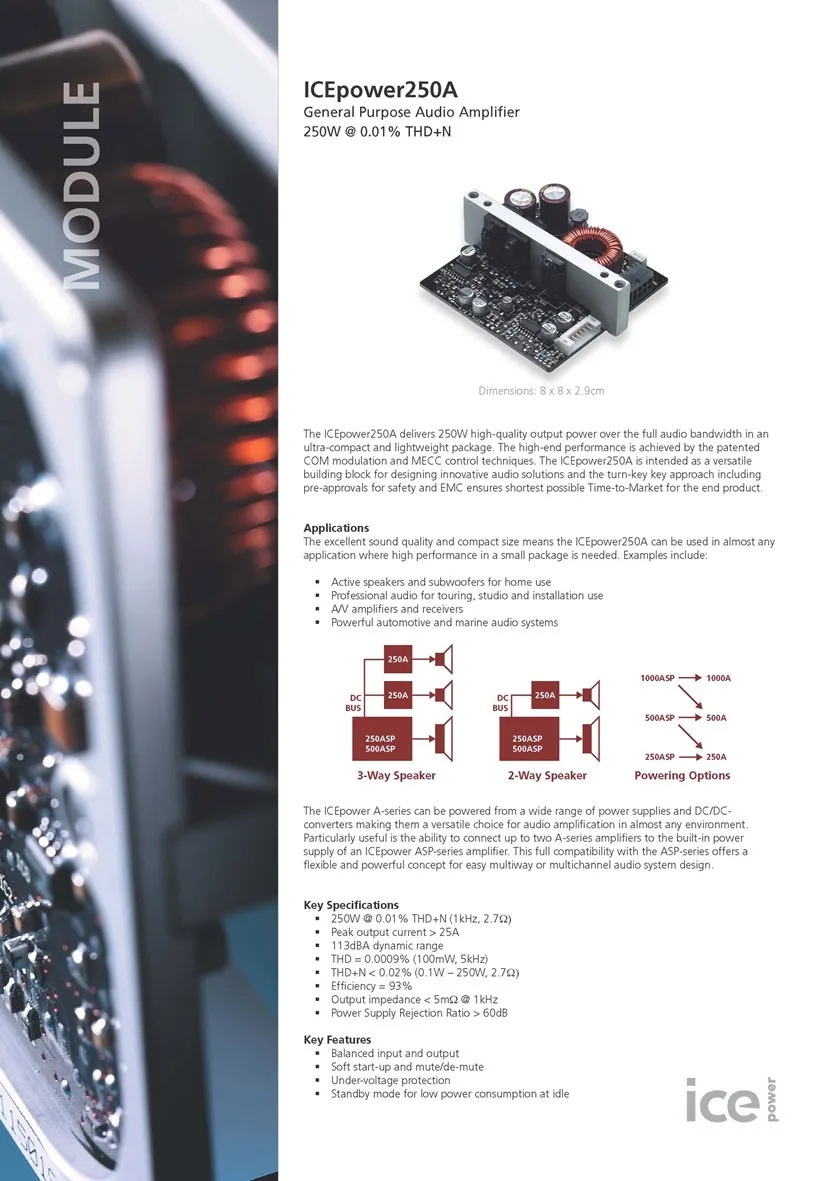 ICEPOWER усилитель мощности фитинги цифровой усилитель мощности модуль ICE250A 250 Вт Профессиональный усилитель мощности плата