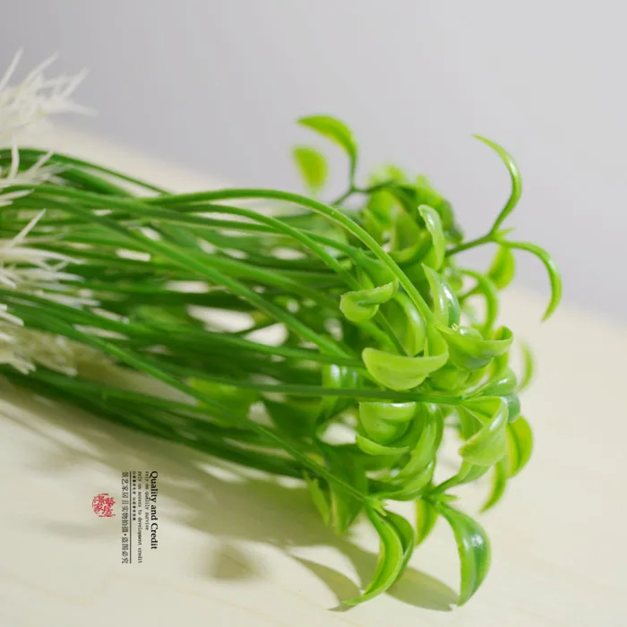 Моделирование ростков фасоли мунг/саженцев мунг/ростков цветов вставленных