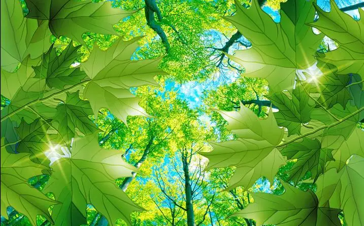 Пользовательские 3d Настенные обои в европейском стиле кленовые деревья зеленый