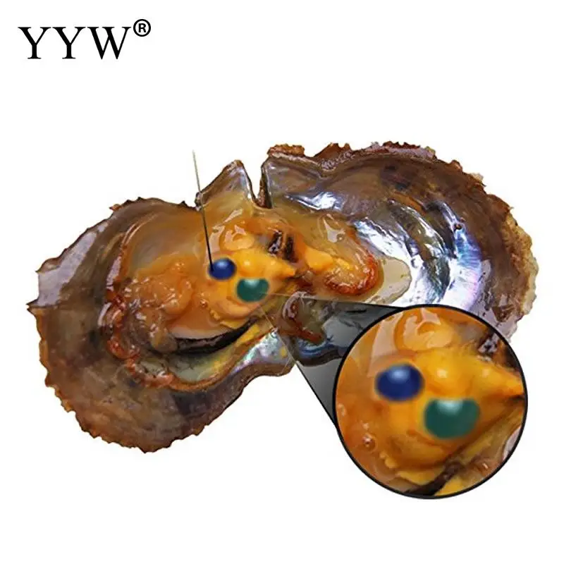 10PC/Bag 6-7mm Vacuum-Packed Oyster Akoya Pearl Dyed Beads mixed colors Mysterious Gift Surprise at Birthday Wedding Party | Украшения и