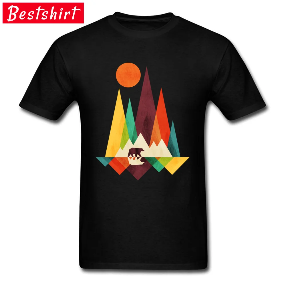 Лето/осень футболки радужные геометрические горные лесные медведи смешные