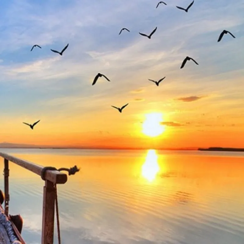 Прямая поставка фотообои с изображением коломака 3D стены красивые морские обои