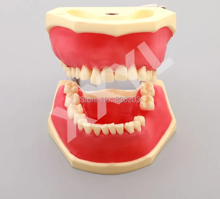 Стоматологическое лабораторное оборудование для отбеливания зубов гигиена