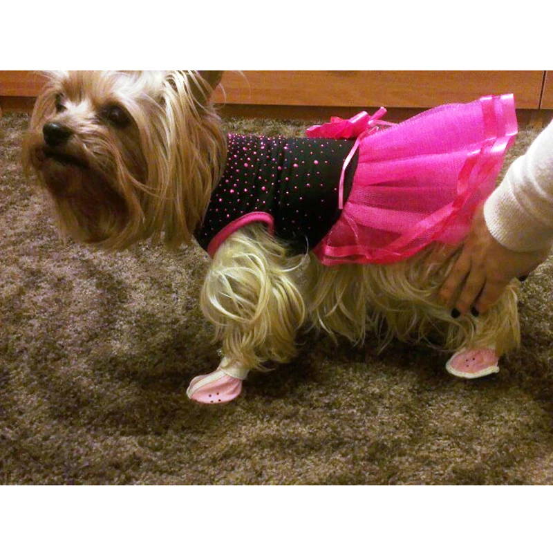 Обувь для собак высокого качества Цвет синий черный водонепроницаемые ботинки