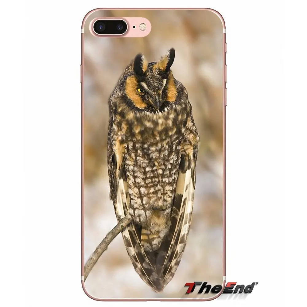 Длинный Ушастый Сова Asio otus Силиконовый ТПУ чехол для iPhone X 4 4S 5 5S 5C SE 6 6S 7 8 Plus Samsung