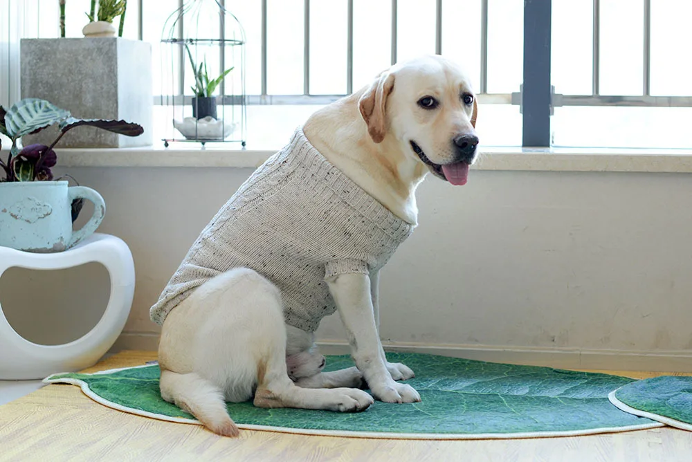 [MPK Dog Sweater] шерстяной свитер для маленьких и средних собак, шерстяной свитер для собак, свитер для Лабрадора, одежда для собак, 4 размера s