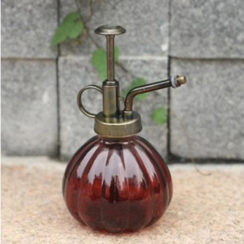 Красивая маленькая винтажная кастрюля для полива очень подходит суккулентов