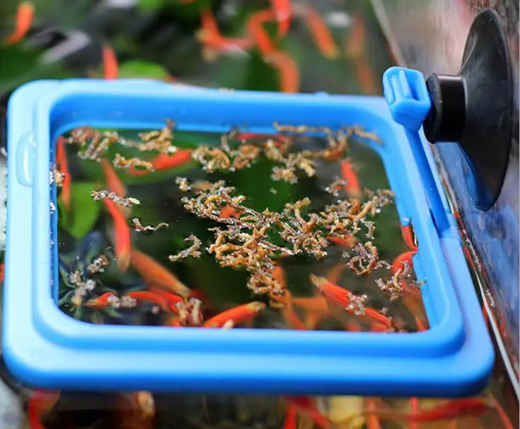 Круглый квадратный дизайн подвеска Fish Tank поток инструмент подачи аквариум