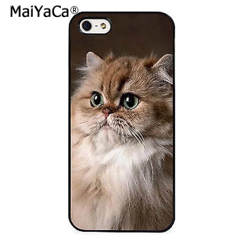 MaiYaCa персидский кот Милый котенок пушистый чехол для телефона iPhone 5 6 s 7 8 plus 11 12 Pro X