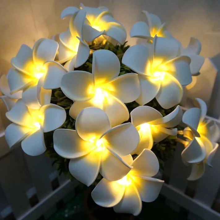 220V 3 м 20LED строка Звездные огоньки в гавайском стиле Пены Искусственный цветок