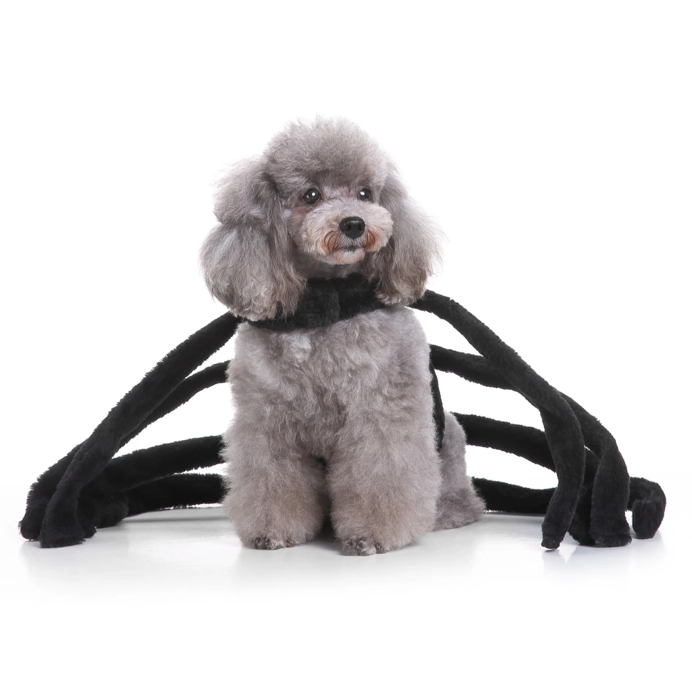 Pet dog costume Rubies Spider clothes small Bichon corgi teddy chihuahua puppy dogs clothing Apparel Party Cloth | Дом и сад