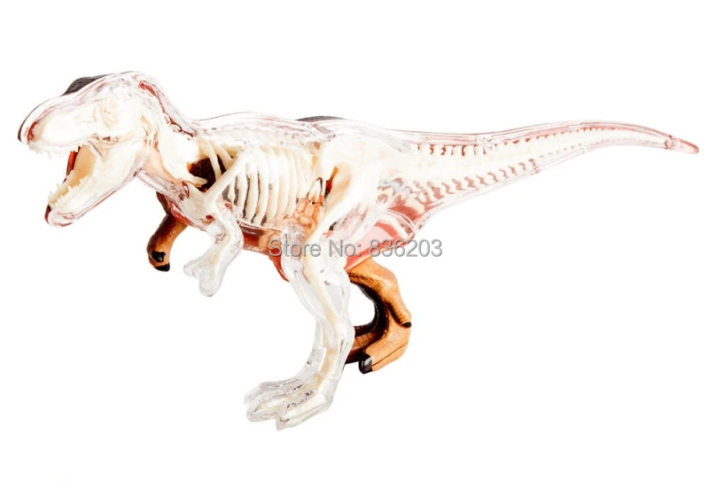 4D Master vision T-REX Анатомия динозавра модель скелета полностью съемные части тела Обучающие