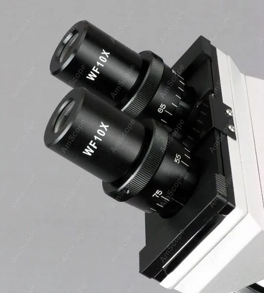 Высокомощные биологические AmScope принадлежности 40X-1000X микроскоп + камера 5 Мп |