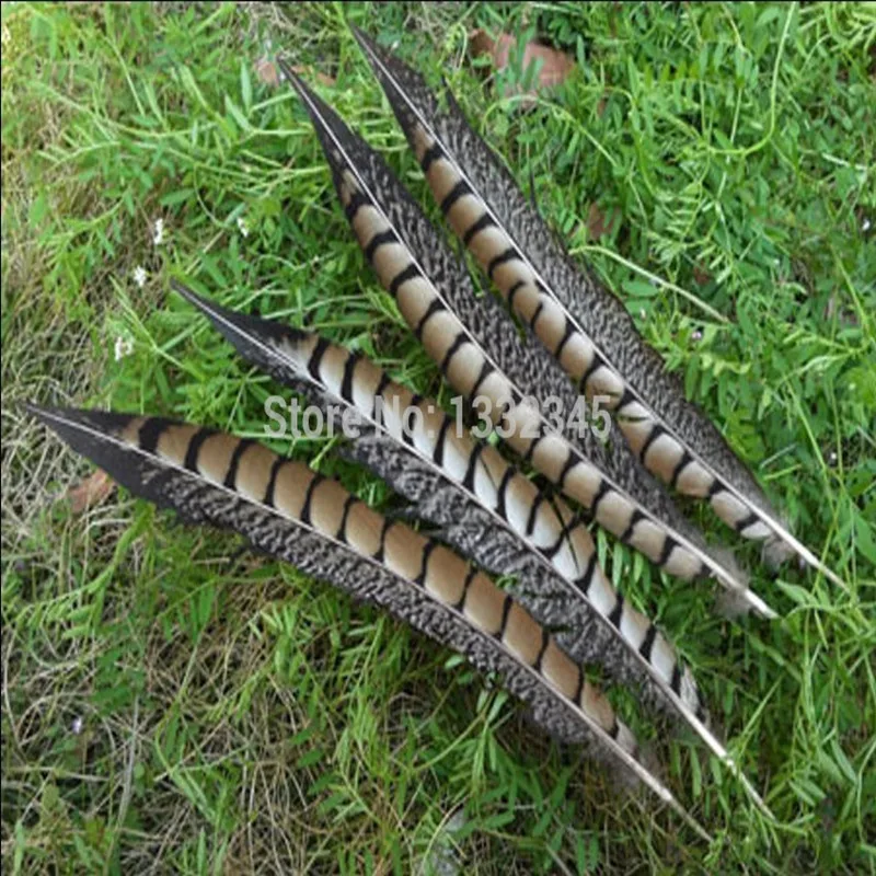 

new 50 pcs natural pheasant tail feathers 14-16 inch/35-40 cm 35#