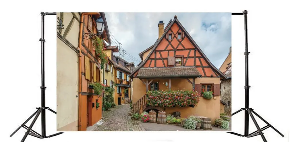 Photography Backdrop Floral Street in Eguisheim Alsace France Hot Pink Flowers Green Leaves Party | Электроника