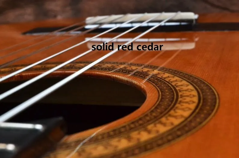 Производительность cutway Классическая гитара с gig bag