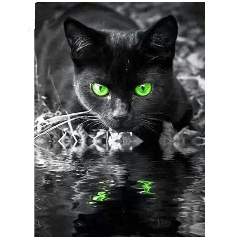 Набор для алмазной вышивки кошачий глаз 100% дюйма|painting cross stitch|diamond painting stitchdiamond