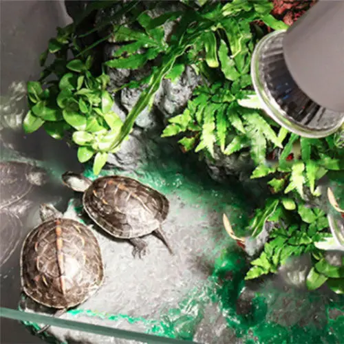 25 100W UVA + UVB излучатель тепла лампы светильник нагреватель Pet Рептилия черепаха