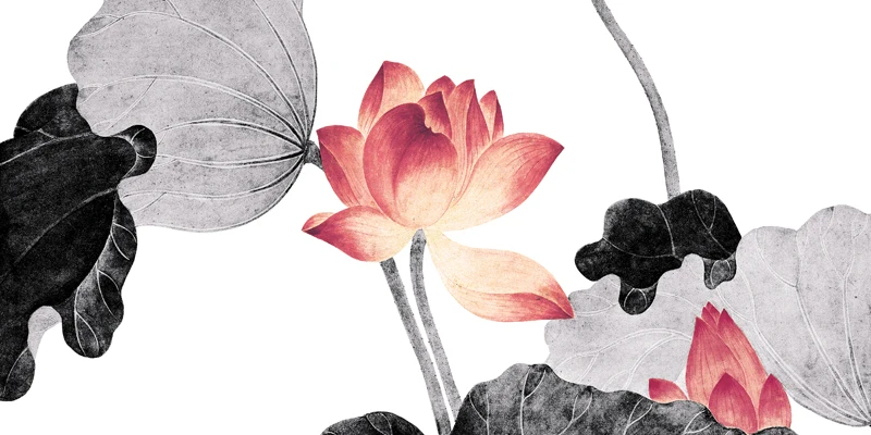 

traditional Chinese painting flowers picture painting vintage posters lotus flowers black and red pictures masterpiece
