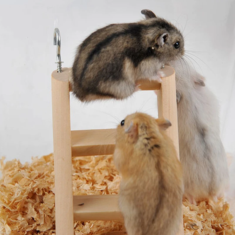 Хомяк натуральные деревянные лестницы для маленьких животных домашних крысы