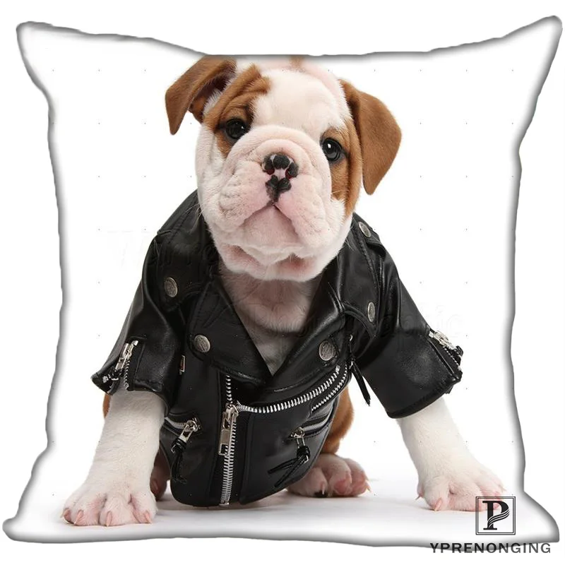 Лучший заказ _ Dog_Biker_Jacket (1) Наволочка на подушку спальня домашняя квадратная