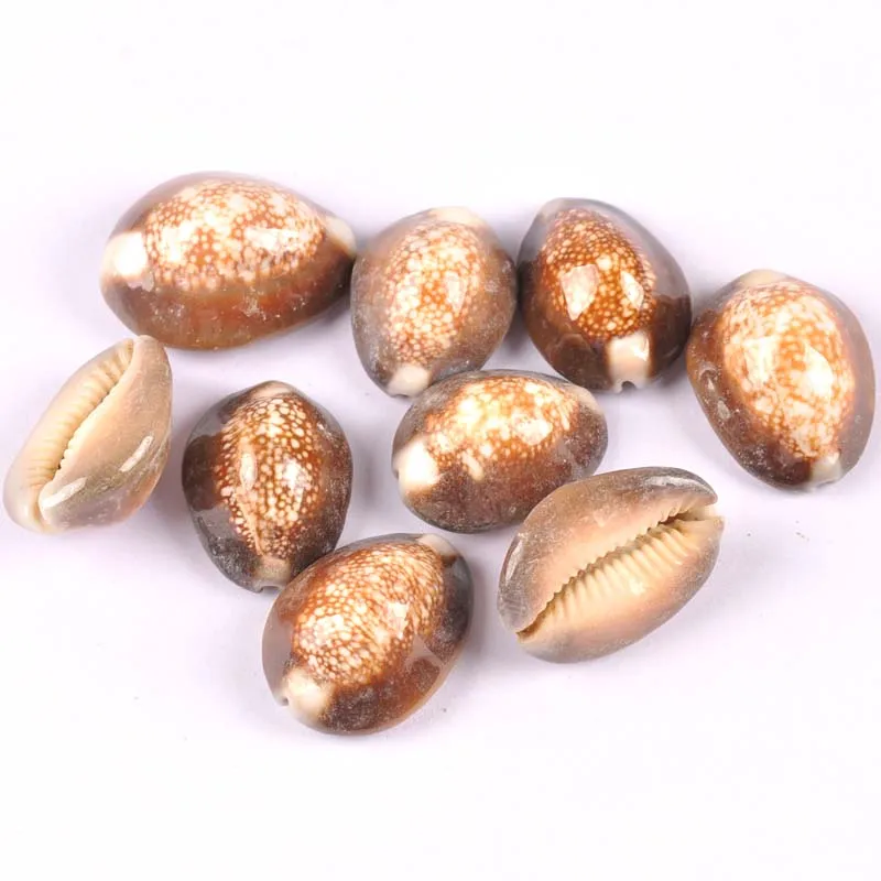 5 шт. ракушки из натуральной для скрапбукинга стеклянной бутылки украшение дома