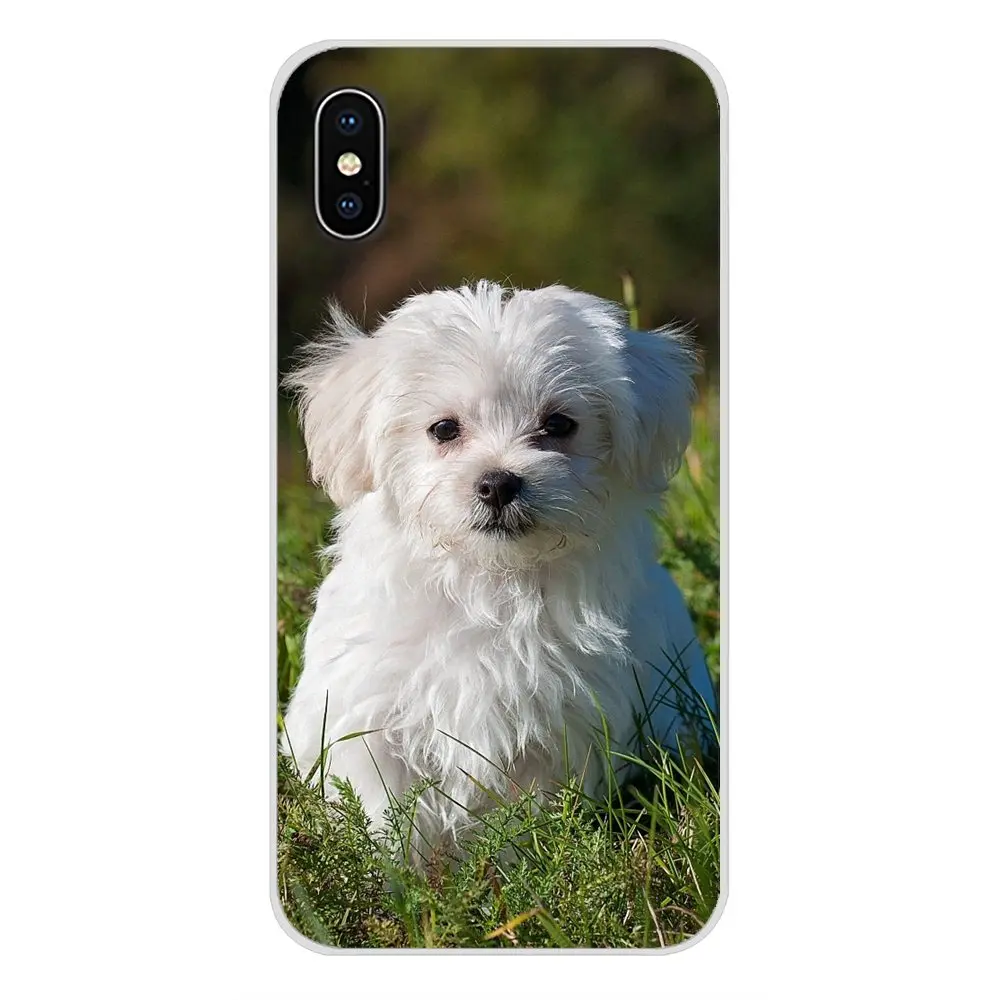 I Love My Maltese dog puppies для Xiaomi Redmi Note 6A MI8 Pro S2 A2 Lite Se MIx 1 Max 2 3 Oneplus 6T чехол сотового