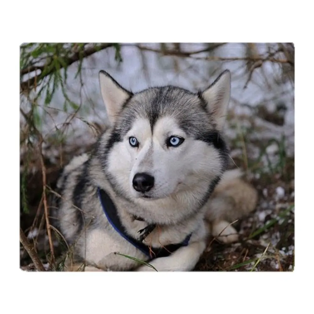 Сибирский хаски мягкий коралловый флис ткань пледы одеяло диван кровать