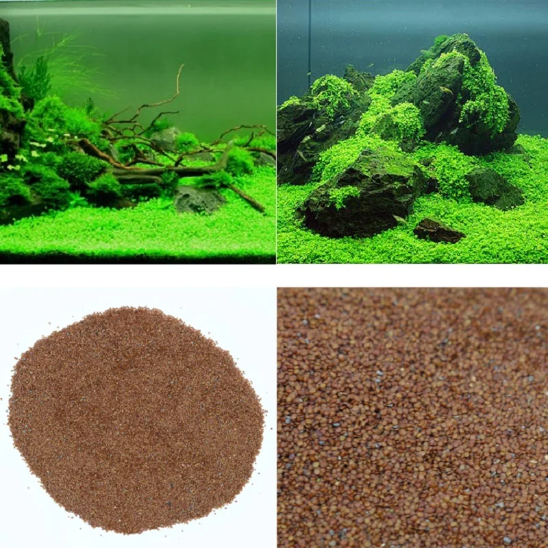 Aquariio аквариумные семена Hemianthus Callitrichoides, трава для воды, мини-лист, украшение для аквариума, орнамент, пейзаж
