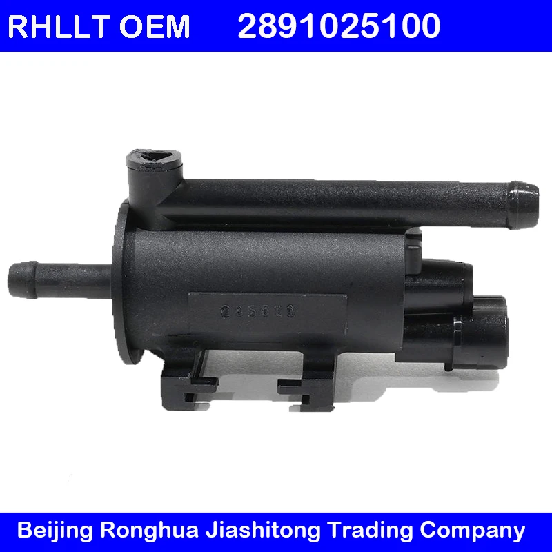 2891025100 клапан управления очисткой вейпа подходит для Kia Rondo Carens Sorento 06 14 Hyundai TUCSON ix35