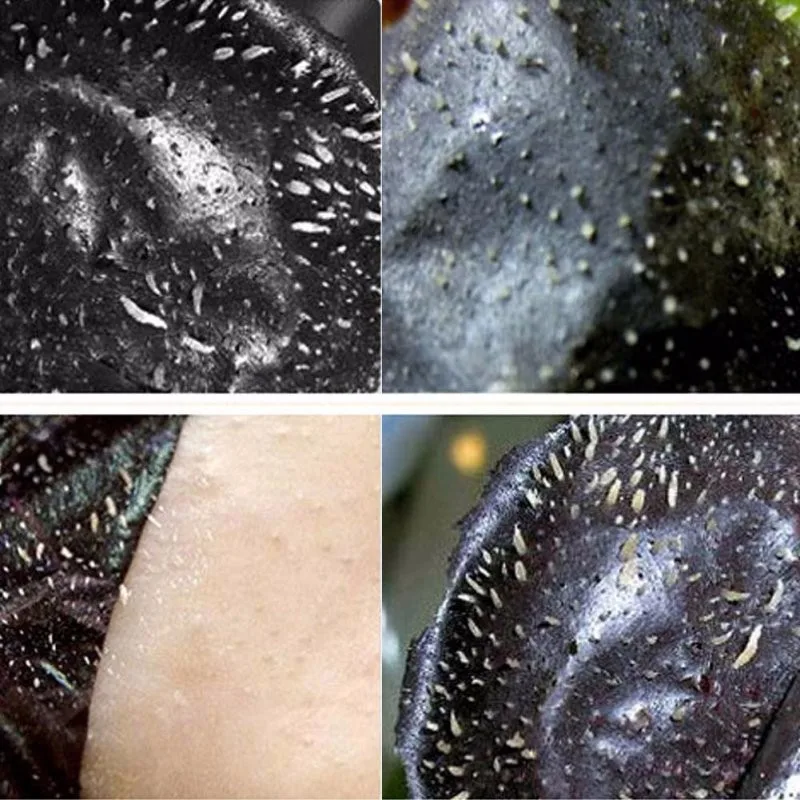 Маска для глубокой очистки лица ALIVER Бамбуковая маска с древесным углем удаления