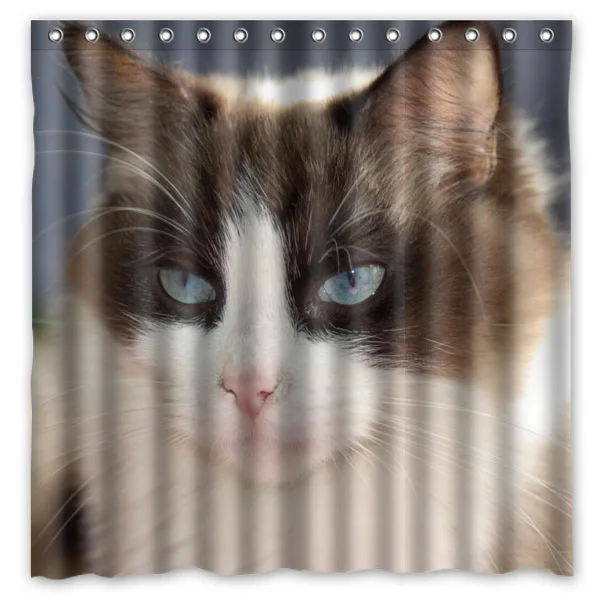 Пользовательские домашние занавески для ванной Ragdoll кошка водонепроницаемая