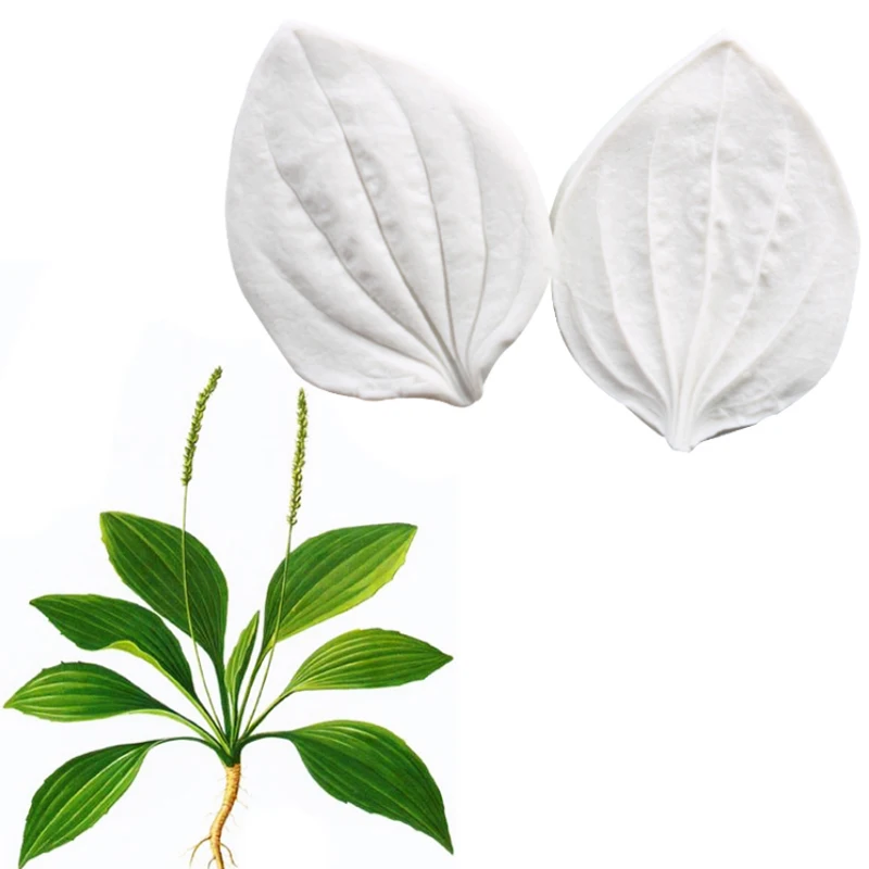 Силиконовая форма в виде листьев подорожника для украшения торта шоколадной