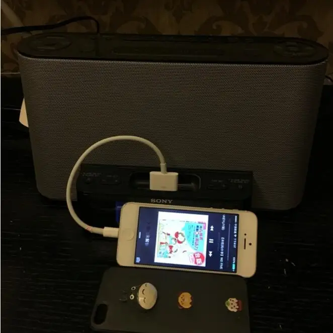 8pin Мужской к 30pin женский телефон адаптеры зарядное устройство для iPhone X XS Plus XR 8 7 6 6s Plus se 5 5S ipad mini air pro - Цвет: Cable