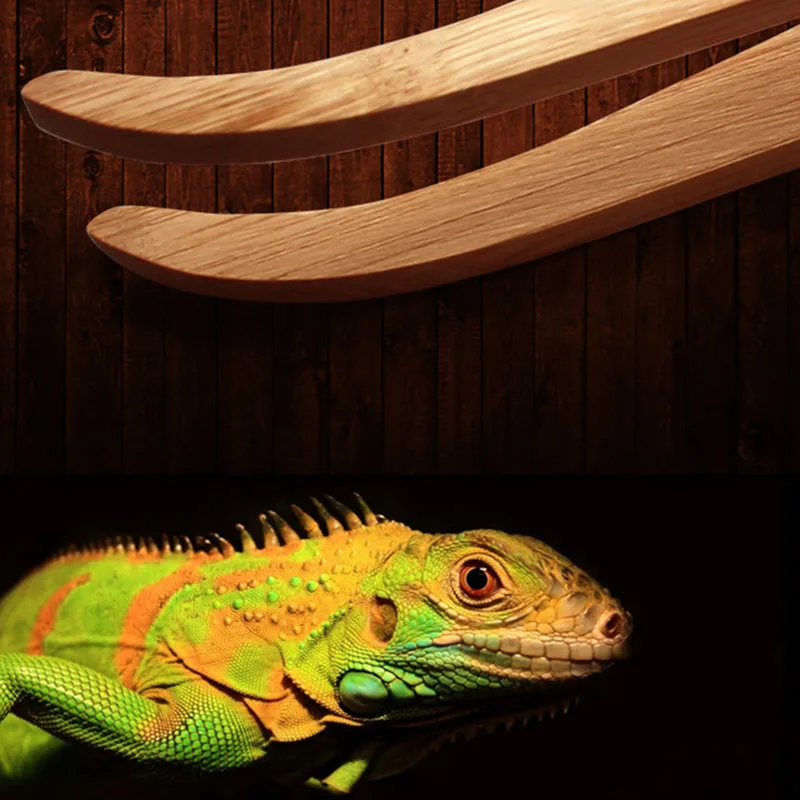Angled Reptile Terrarium Feeding Tongs Tweezers Eco-Friendly Bamboo Tool APR1_35 | Дом и сад