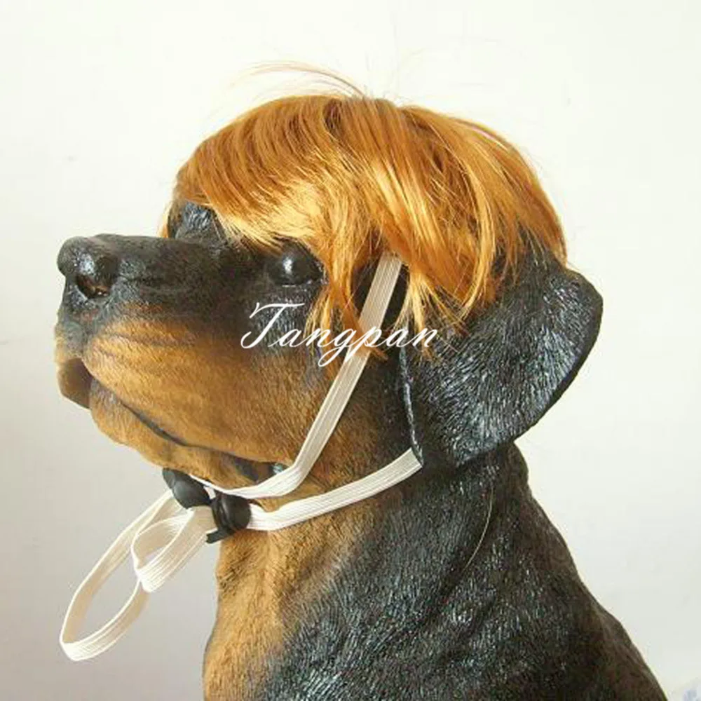 Короткие золотые волосы Tangpan для домашних животных кошек собак Bobo аксессуары |