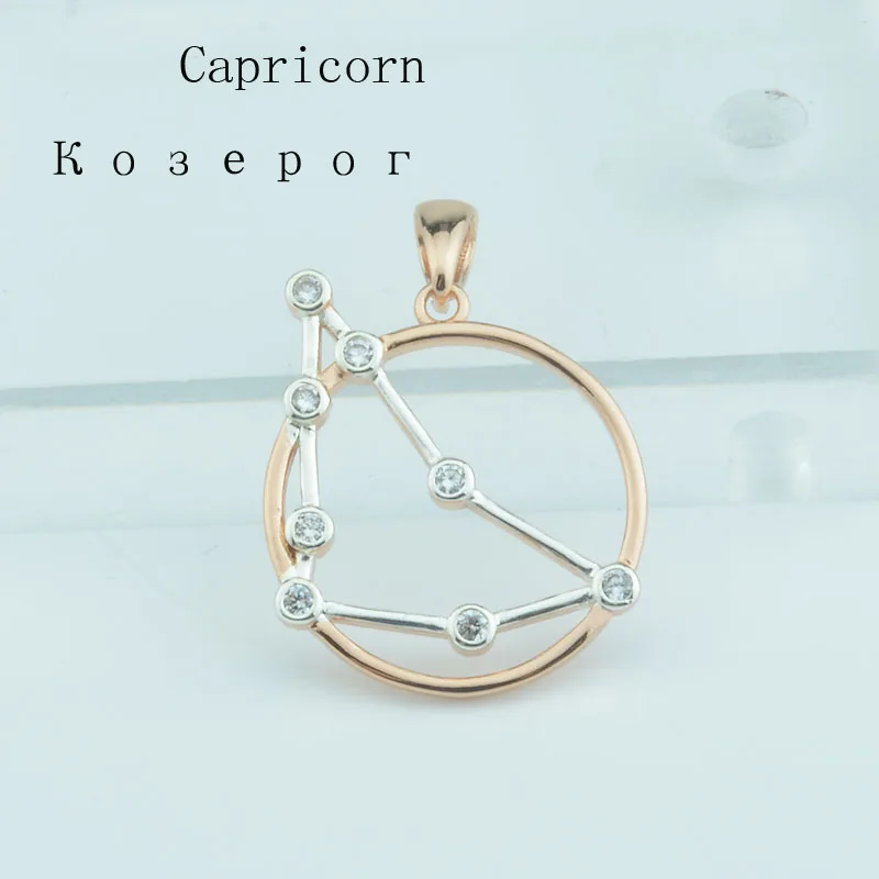 Capricorn FJ 12 Знак зодиака 585 розовое золото цвет абстрактные Подвески в виде созвездия для женщин и мужчин ожерелье цепь - Окраска металла: Capricorn