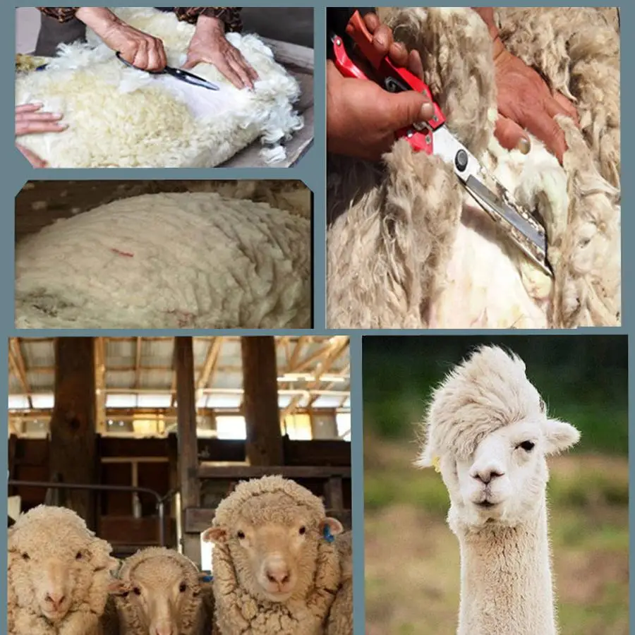 220V 680W +plastic box  package best sheep coat pet sheeping grooming wool shears electric clipper shearing machine enlarge