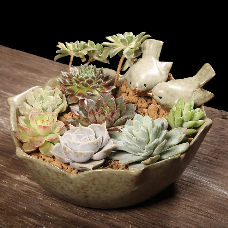 Кормушка для птиц керамический суккулент растений цветочные горшки|flower pot|nursery