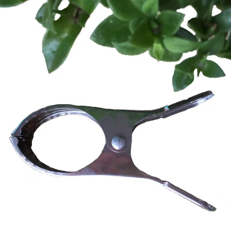 

6 Pack Stainless Steel Beach Bath Towel Clips Durable Hanging Clothes Clips Strong Windproof Clothes Quilt Clothes Pegs