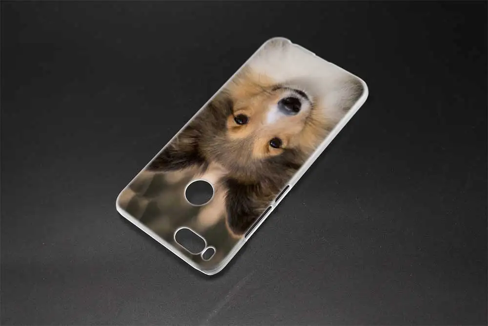 Мягкий силиконовый чехол Border Collie Dog для Xiaomi redmi 9a 8a 7a 6a 5a note 9 8 7 6 Pro 8t 9s y3|Бамперы| |