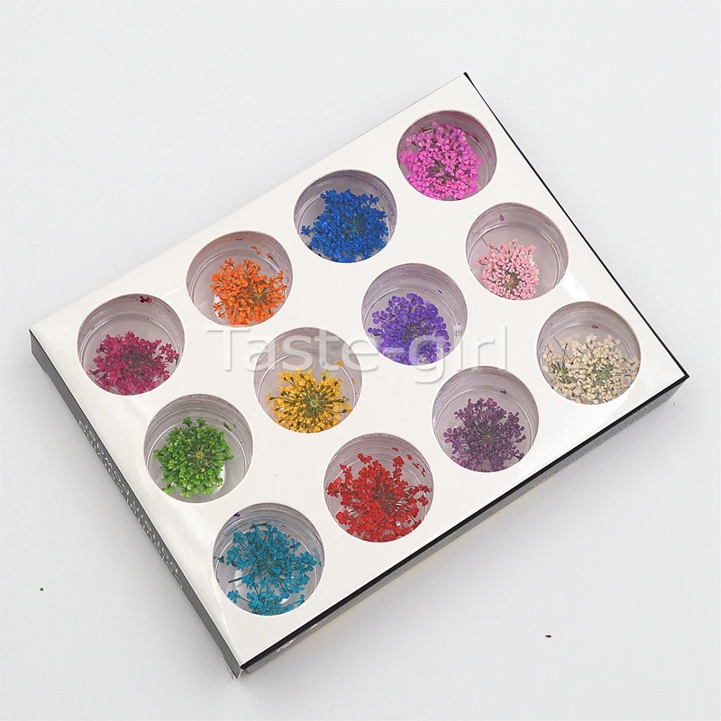 12 цветов натуральный сушеный цветок для УФ-геля ногтей |